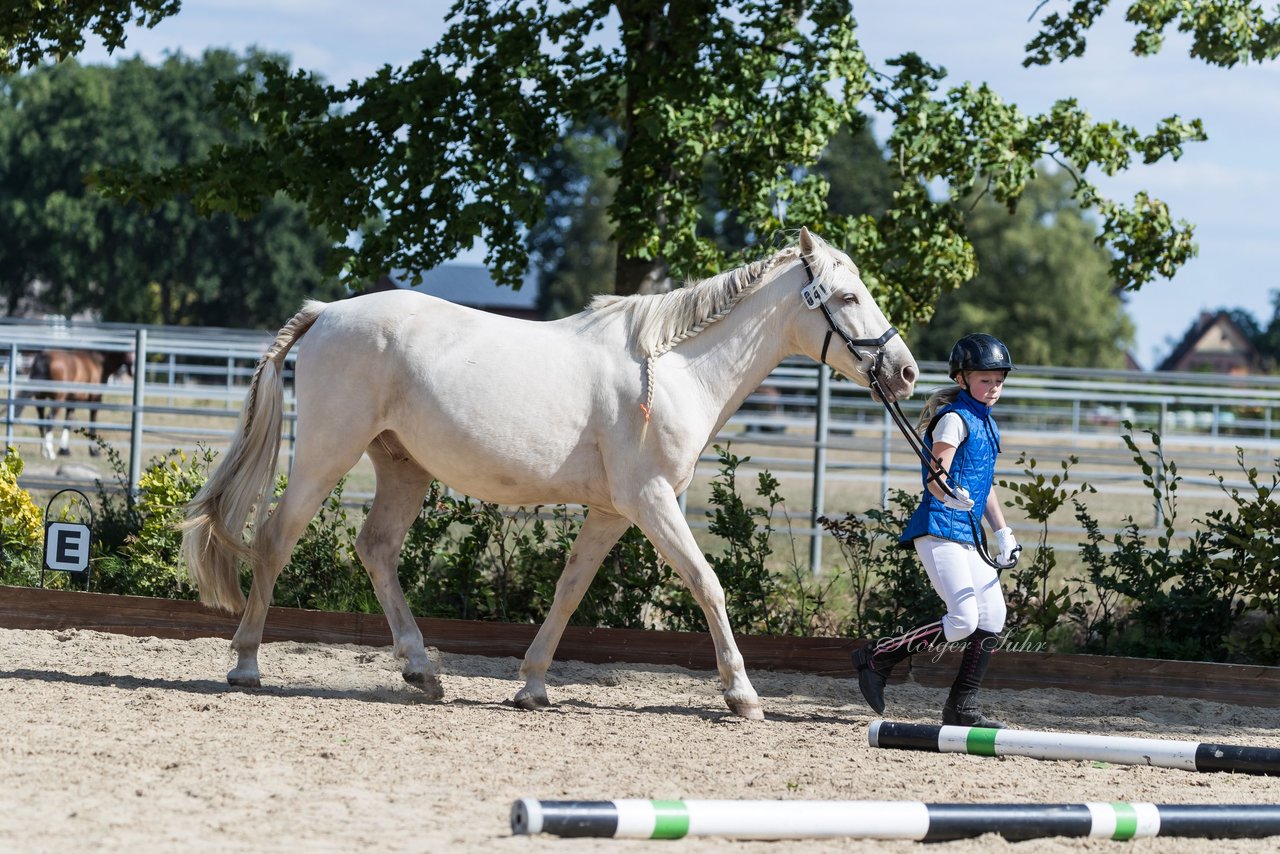 Bild 153 - Pony Akademie Turnier